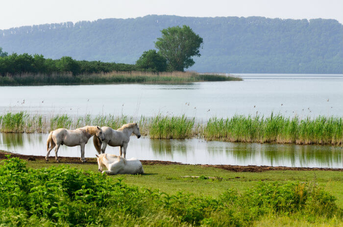 lago di vico rome4guest